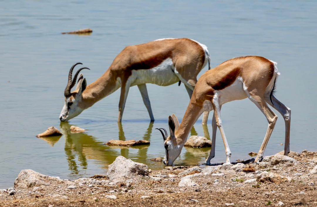 16-Day Windhoek to Victoria Falls Adventures on Wheels — photo 2