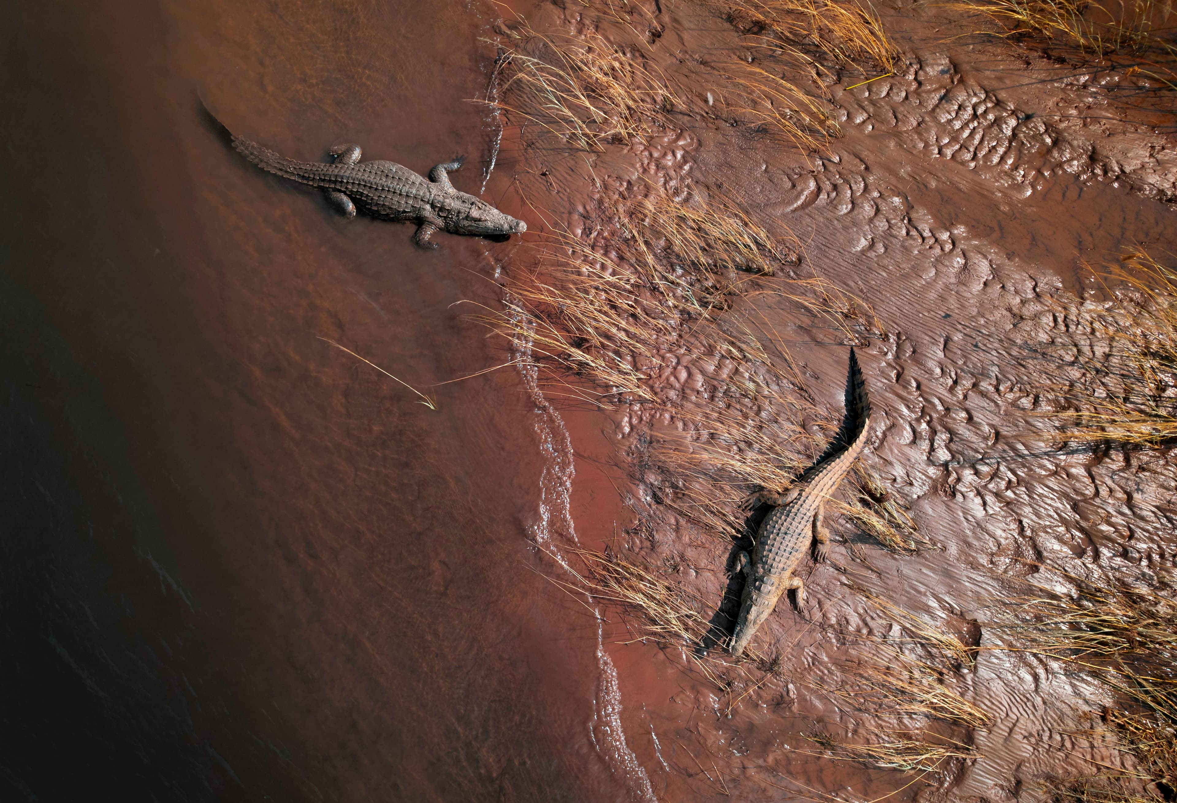 5-Day Victoria Falls - Chobe — photo 3