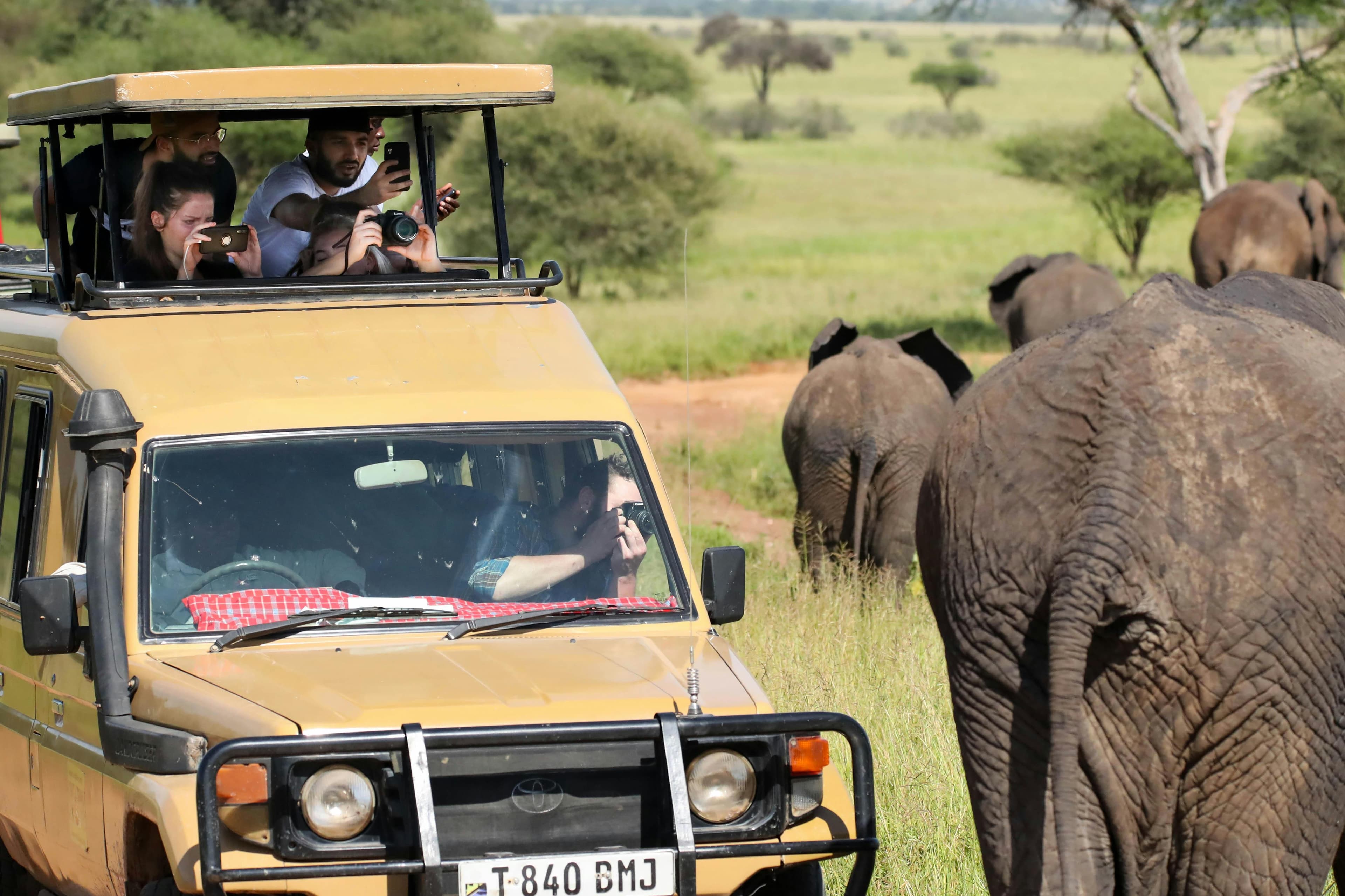 Big 5 Game Drives