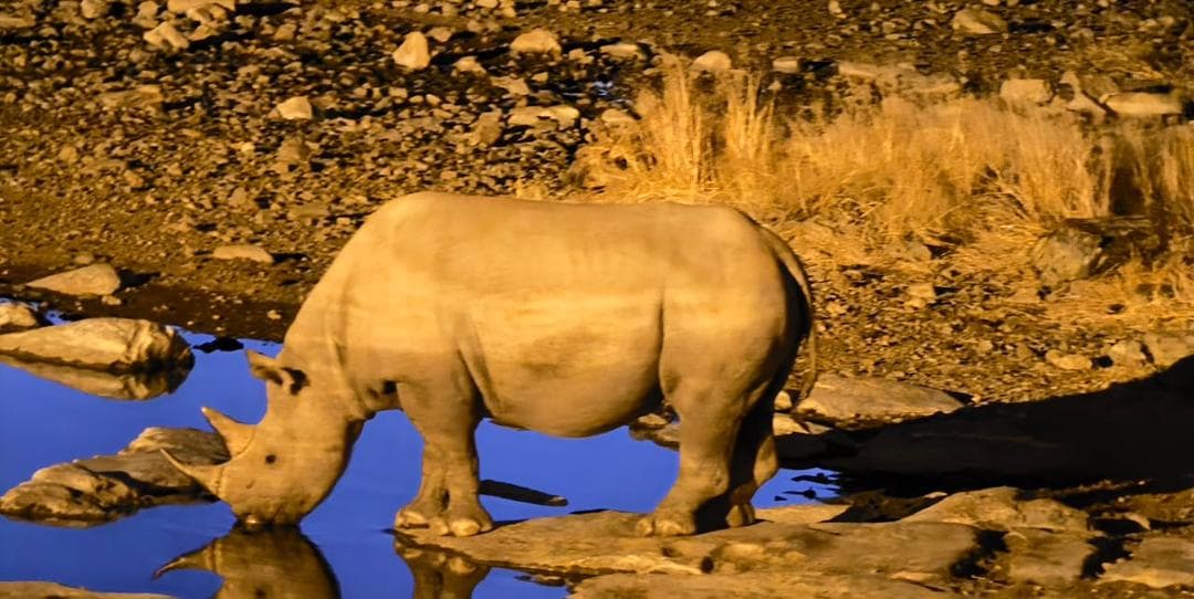 10-Day Grand Zimbabwe