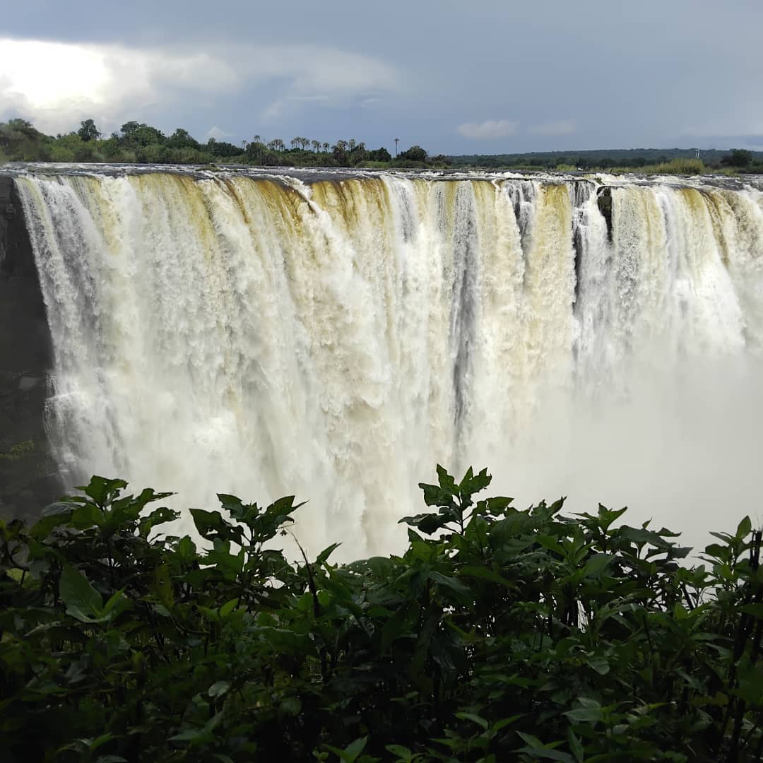 ½-Day Zimbabwe Zambia Guided Rainforest and Bridge Tour — photo 2