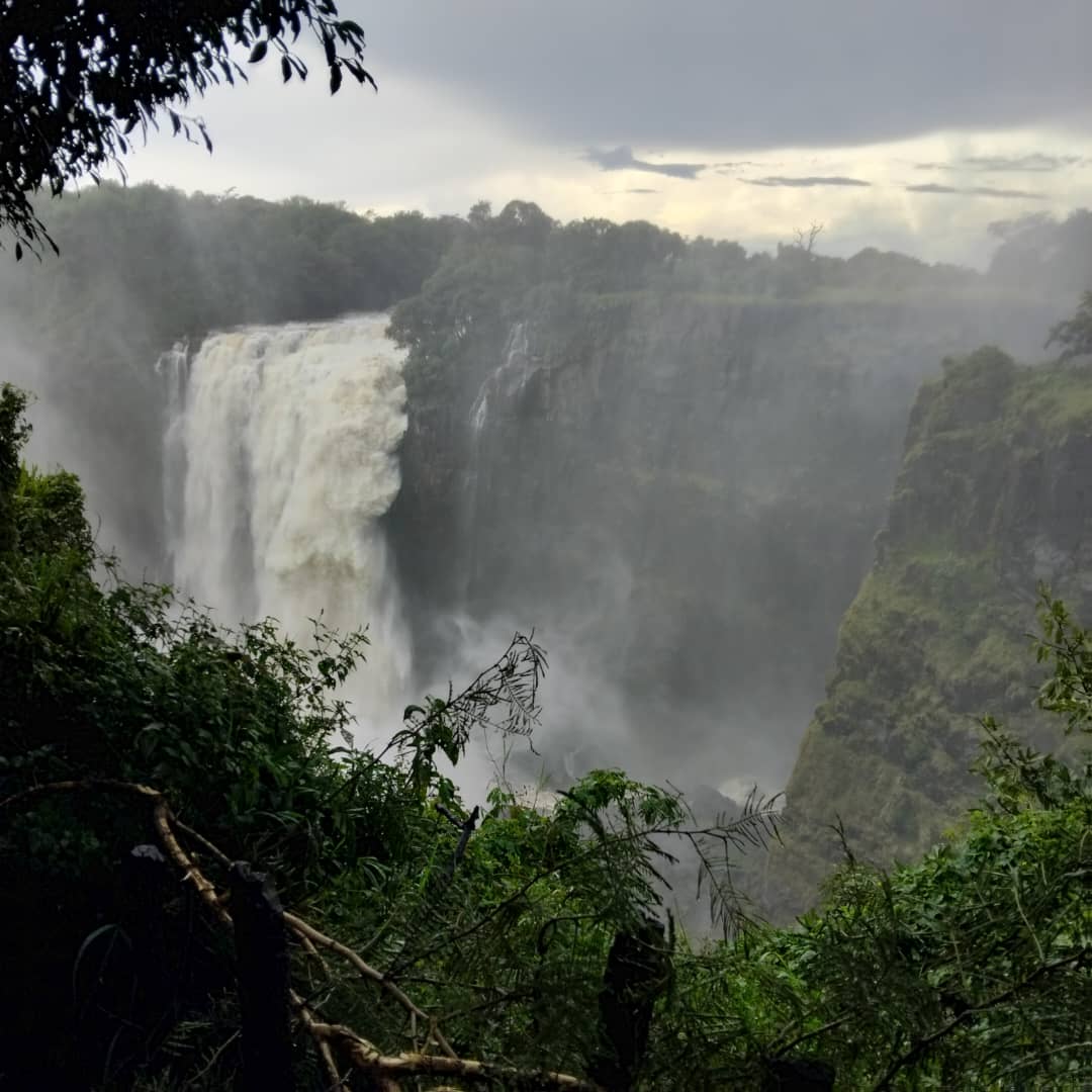 12-Day Hwange Okavango Victoria Falls Adventure Mid Range — photo 3