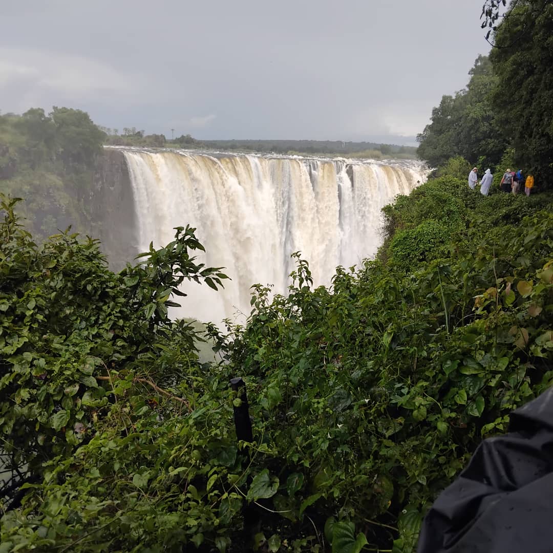 ½-Day Game Drive and Guided Tour of the Falls — photo 1
