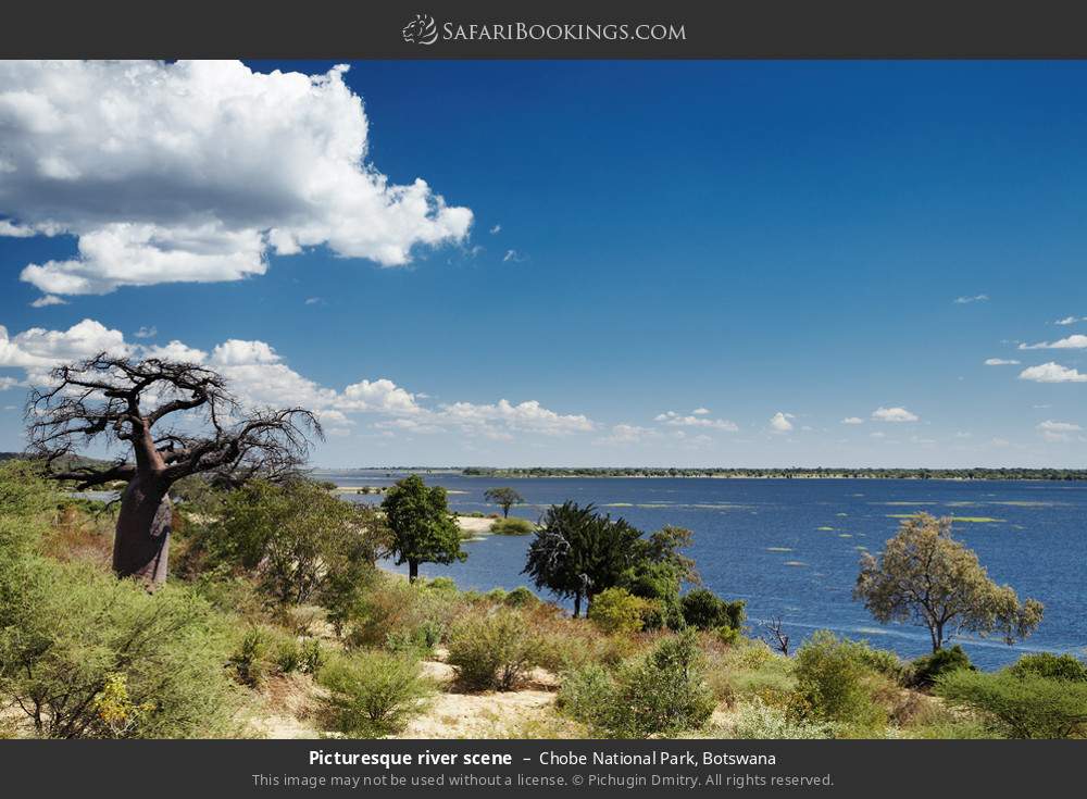 Chobe National Park 018