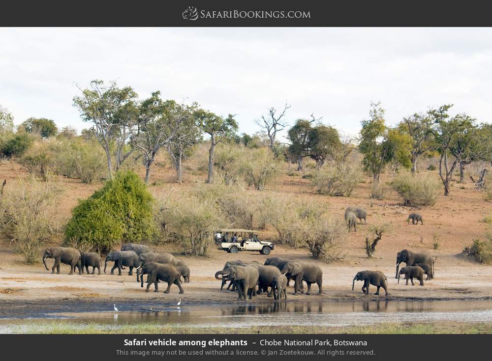 Chobe National Park 019
