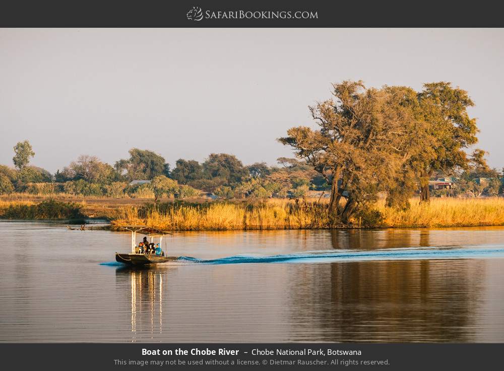 Chobe National Park 043
