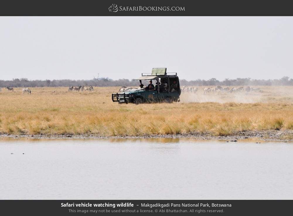 Makgadikgadi Pans National Park 021