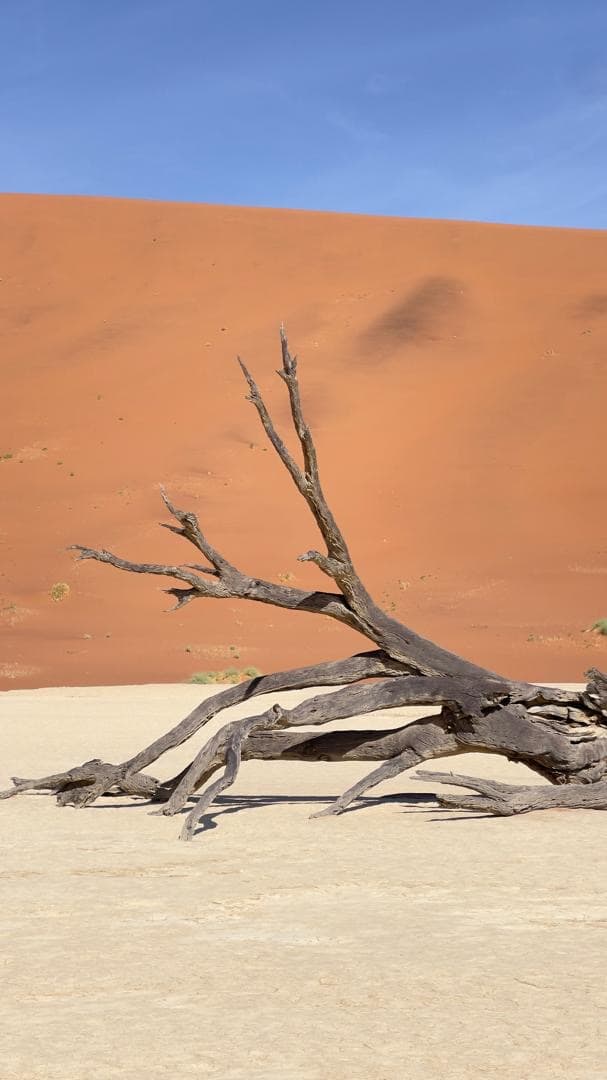 16-Day Windhoek to Victoria Falls Adventures on Wheels — photo 3