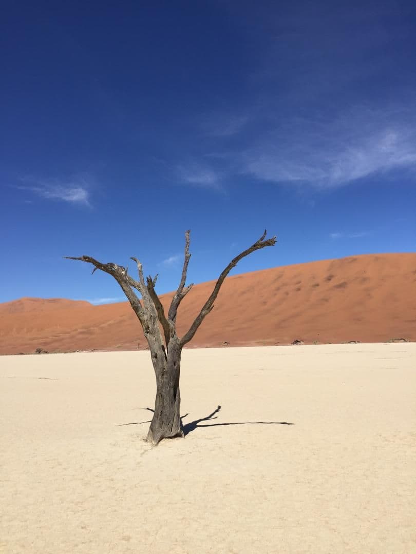 Sossusvlei
