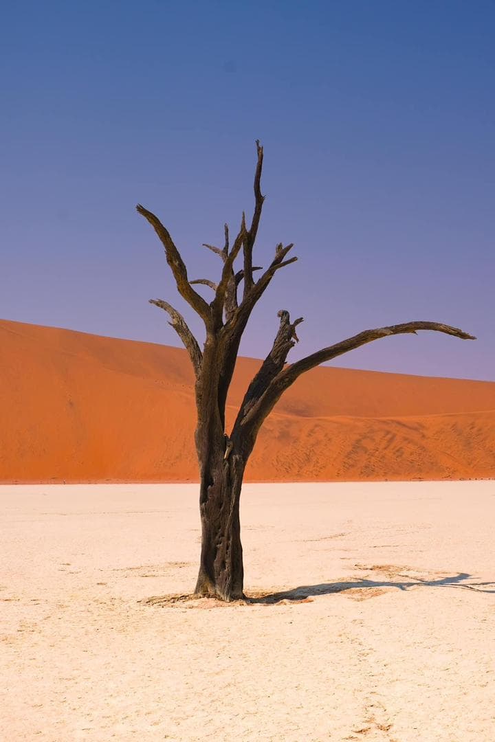 Sossusvlei