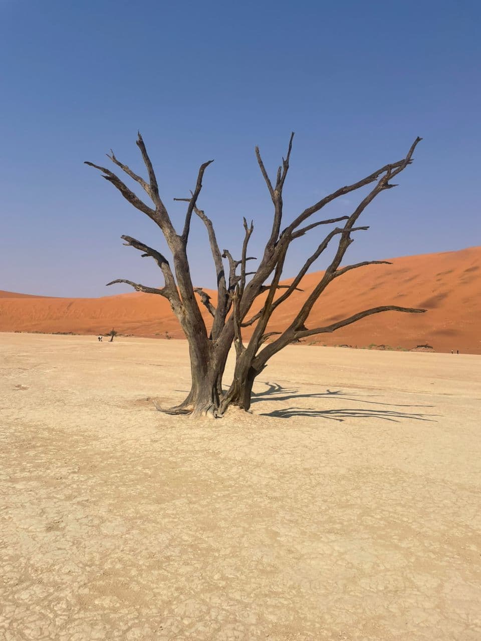 Sossusvlei